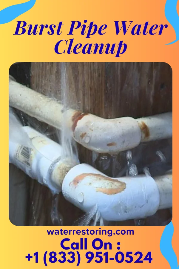 Burst Pipe Water Cleanup in Hanover, OH