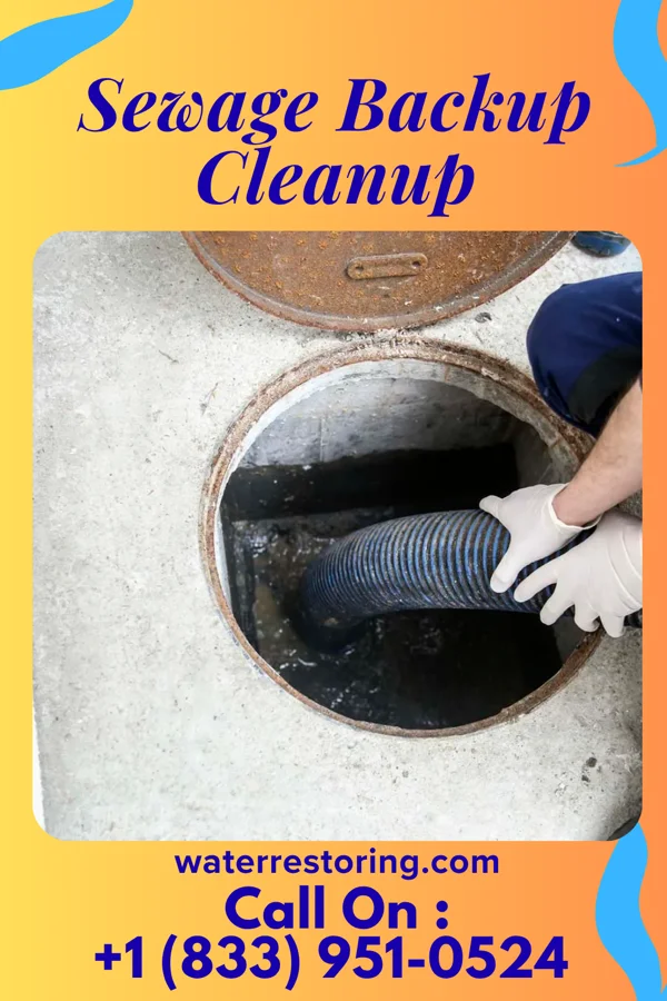 Sewage Backup Cleanup in Hanover, OH