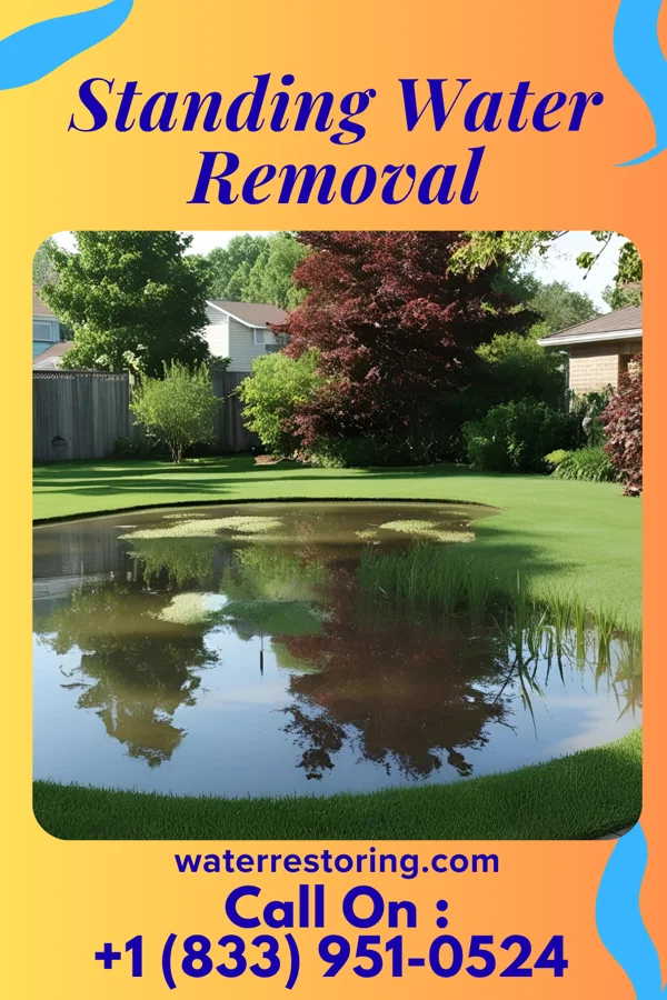 Standing Water Removal in Hanover, OH
